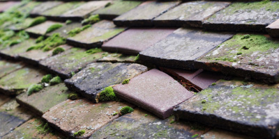 Monks Risborough roof repair costs
